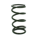 EPI 24+ Polaris RZR XP/4 / Xpedition XP/ADV Secondary Clutch Spring Green-1