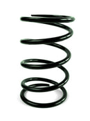EPI 98+ Polaris EBS Clutches ATV Secondary Spring POLARIS Dark Green-1