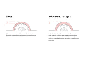 Eibach 22-25 Ford F-150 Lightning Dual eMotor Rear Pro-Truck Lift Stage 1 - 0