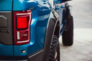 Anderson Composites 17-18 Ford Raptor Type-Wide Fender Flares (Rear)-6