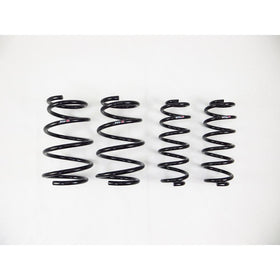 RS-R DOWN SUS LOWERING SPRINGS: 2019 LEXUS ES 350 F SPORT