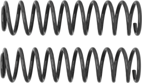 Rancho 97-05 Jeep TJ Front Coil Spring Kit