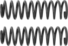 Rancho 97-05 Jeep TJ Rear Coil Spring Kit
