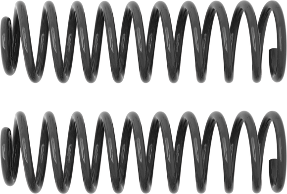 Rancho 97-05 Jeep TJ Rear Coil Spring Kit