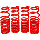 BLOX Racing Lowering Springs Tesla Model 3 Long Range RWD-1