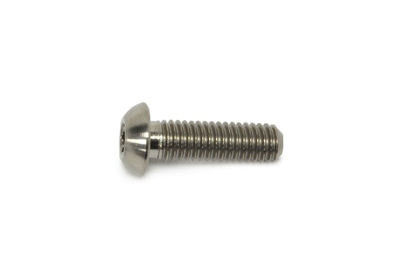 STM Titanium Bolts & Flat Washers (M6-1 x 20mm)
