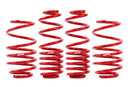 APR Roll-control Lowering Springs For MK7/7.5 GTI-2