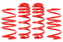 APR Roll-Control Lowering Springs - VW / MK8 GTI | SUS00016-2
