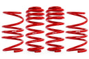 APR Roll-Control Lowering Springs - VW / Mk8 / Golf R | SUS00017-2
