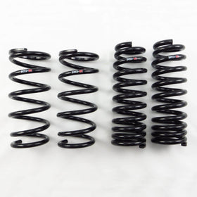 RS-R 13+ Lexus GS450h RWD (GWL10) Down Sus Springs