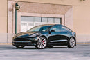 Rally Armor 17-23 Tesla Model 3 Black UR Mud Flap - Metallic Black Logo-5