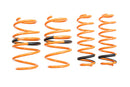 Toyota Rav-4 2019+ Lowering Springs (Exc Hybrid, Prime)-1