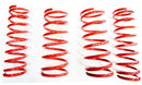 60MM COIL SPRING LIFT KIT - G WAGEN - W463/W463 (G500/G550/G55/G63)-1