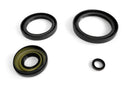 EPI 04-06 Kawasaki Prairie / Brute Force /Suzuki 700 Twin Peaks Front Differential Seal Kit-1