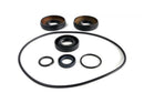 EPI 06-20 Kawasaki 650/750 Brute Force Rear Differential Seal Kit-1