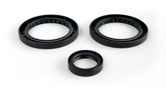 EPI 99-04 Polaris 300-650 Magnum/Sportsman Differential Seal Kit