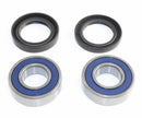 EPI 84-00 Honda TRX250-300 Wheel Bearing Kit-1