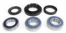 EPI 00-07 Honda TRX 350-500 Rancher Rear Wheel Bearing Kit-1