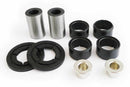 EPI 95-99 Polaris 250-500 Rear Swing Arm - Control Arm/ Bushing Kit-1