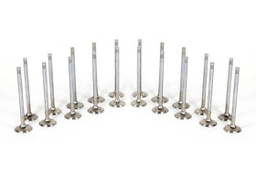 Ferrea Super Alloy Intake/Exhaust Valve Kit For Audi RS3 (8V)/TTRS (8S)