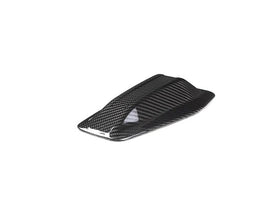 AutoTecknic G-Chassis Dry Carbon Roof Antenna - 2023+ - 0