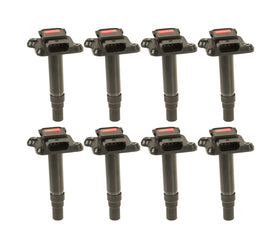 Ignition Coil Pack Set - Audi / 4.2L V8 / 4.2T