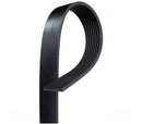 Accessory Belt - BMW / S55 / F8X / M3 / M4 / M2 Competition | 11287848605-1
