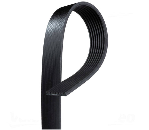 Accessory Belt - BMW / S55 / F8X / M3 / M4 / M2 Competition | 11287848605