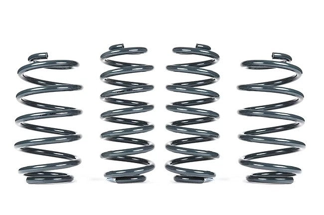 VWR Sport Springs For Beetle/Scirocco