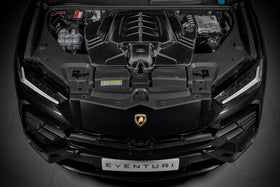 Eventuri RSQ8 / Cayenne Turbo / Urus Black Carbon Intake System - 0