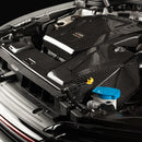 VOLKSWAGEN REDLINE CARBON FIBER INTAKE (MK8) GTI-19