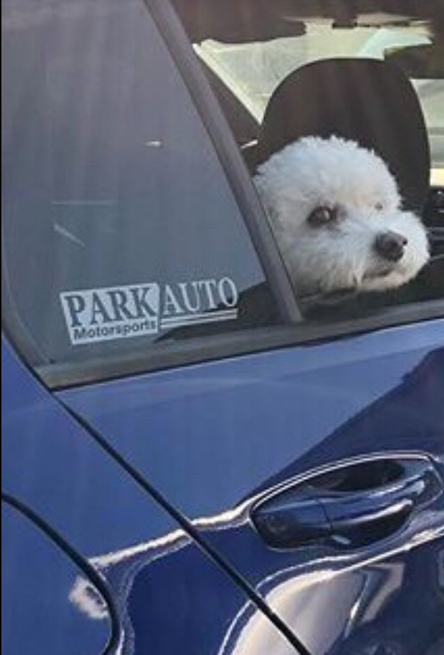 Park Auto Motorsports Window Stickers