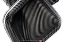 AMS PERFORMANCE BMW M3/M4 S55 CARBON INTAKES (F80/F82/F83)-4