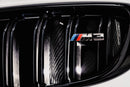 AMS PERFORMANCE BMW M3/M4 S55 CARBON INTAKES (F80/F82/F83)-16