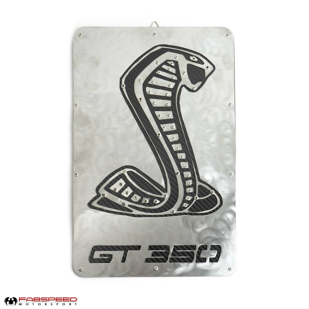 Fabspeed Carbon Fiber Wall Art - Shelby GT350