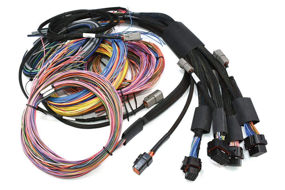 Haltech NEXUS R5 Universal Wire-In Harness Kit - 2.5M (8ft) - 0