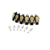 Mercedes Ignition Coil Kit - Delphi 2729060060