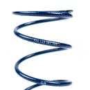 Porsche 911 Turbo 930 Wastegate Boost Spring 1.05 BAR (1976-1989)-2