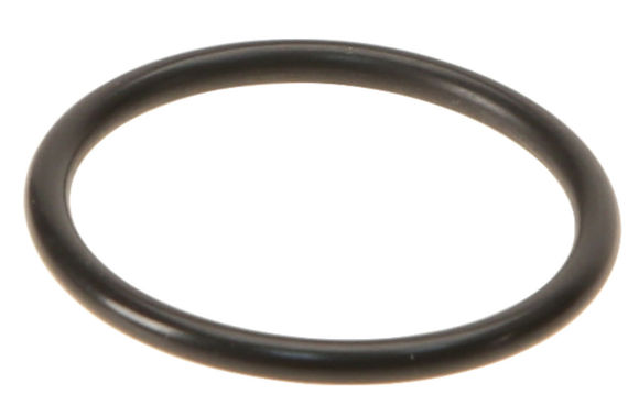 Audi VW Engine Coolant Flange Seal - Reinz WHT001688