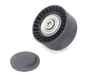 BMW Drive Belt Idler Pulley - INA 11288673720